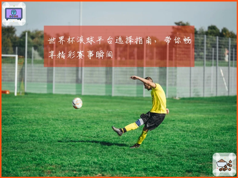 世界杯滚球平台选择指南，带你畅享精彩赛事瞬间