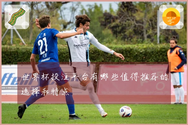 世界杯投注平台有哪些值得推荐的选择和特点