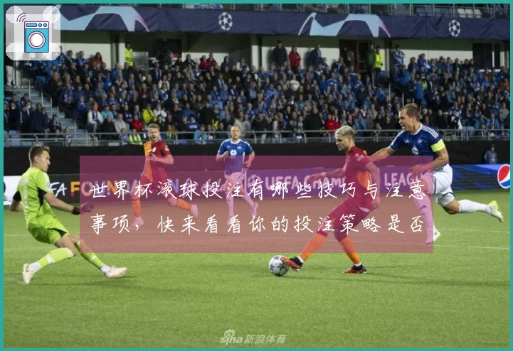 世界杯滚球投注有哪些技巧与注意事项，快来看看你的投注策略是否合理