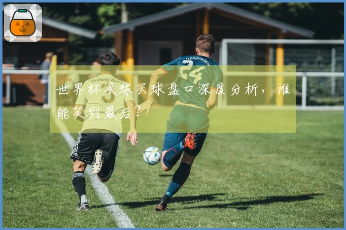 世界杯滚球买球盘口深度分析，谁能笑到最后？